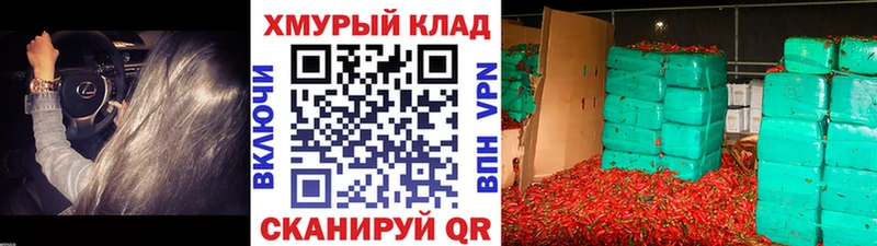 блэк спрут ссылки Мамоново ГЕРОИН афганец